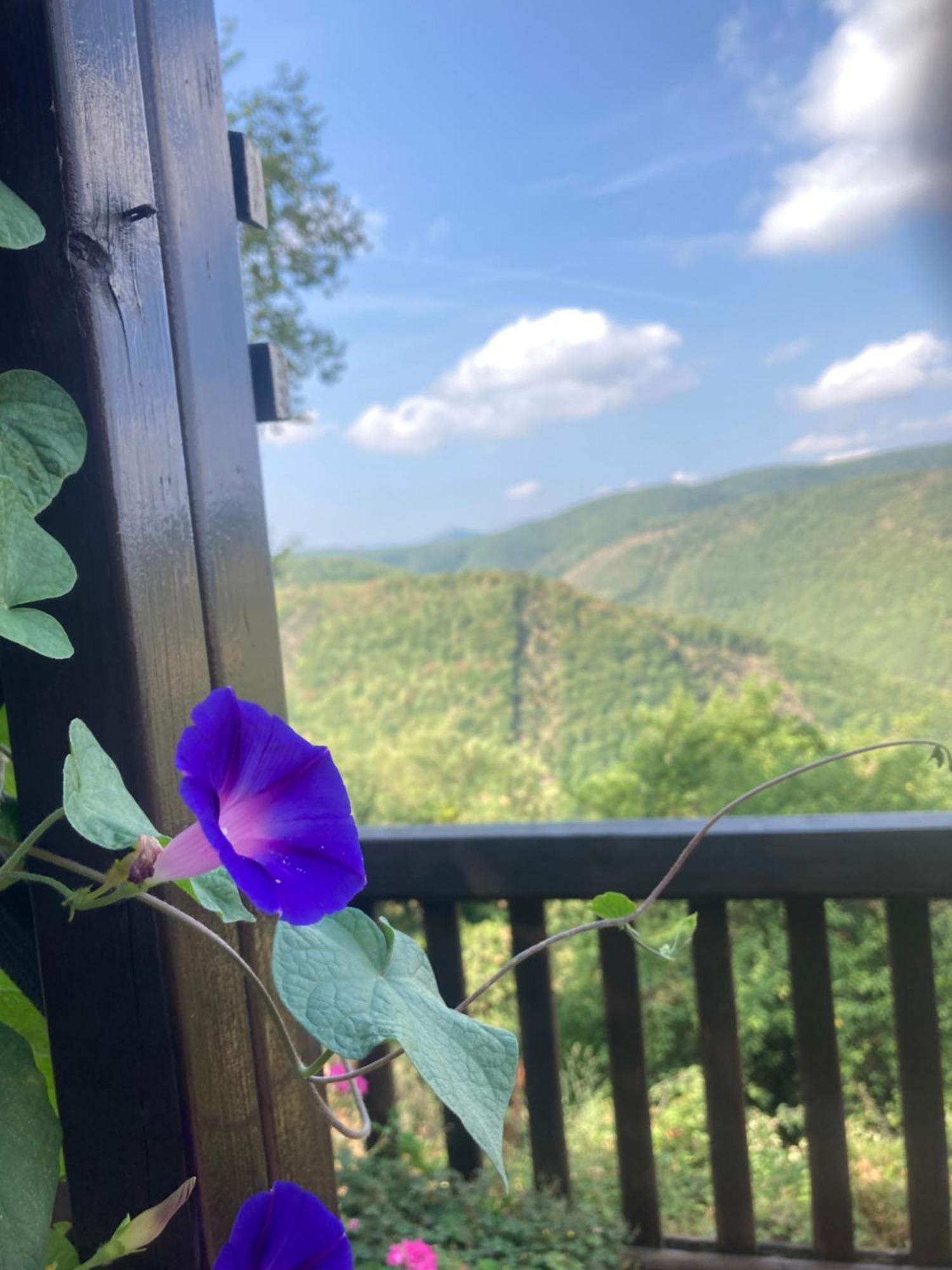 Agriturismo Becerca Vegan Serra San Quirico Kültér fotó