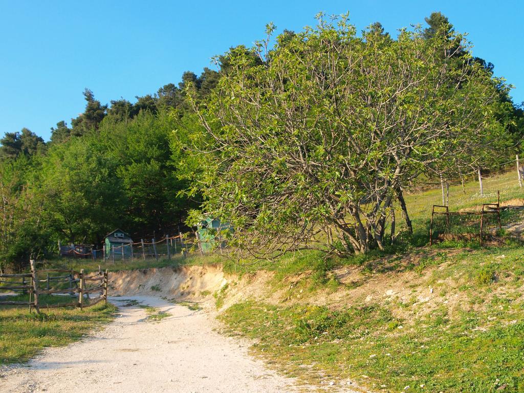 Agriturismo Becerca Vegan Serra San Quirico Kültér fotó