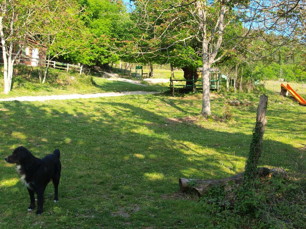 Agriturismo Becerca Vegan Serra San Quirico Kültér fotó