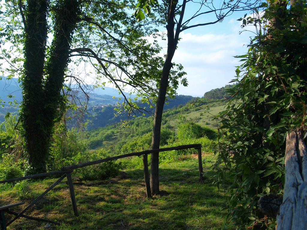 Agriturismo Becerca Vegan Serra San Quirico Kültér fotó