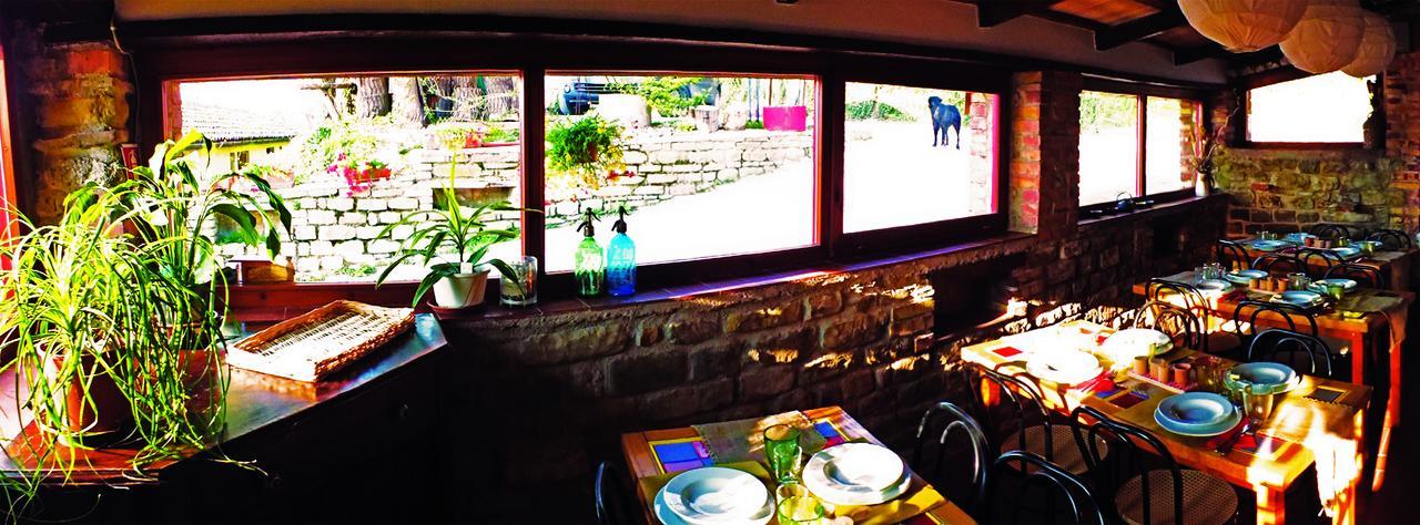Agriturismo Becerca Vegan Serra San Quirico Kültér fotó